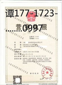 轉讓投資咨詢公司多少錢？深度解析轉讓與咨詢服務的關鍵因素
